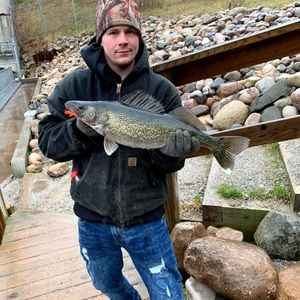 Meet your Posher, Irvin